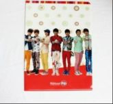 INFINITE NATUUR POP - Clear File